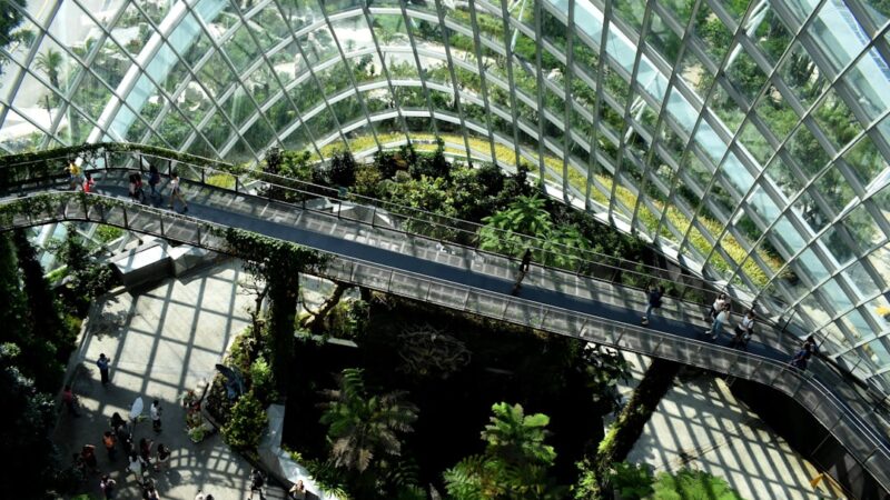 Grønne Rejser: Sådan Bidrager TravelGreen.dk til en Bæredygtig Fremtid