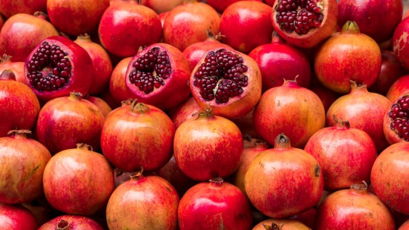 Pawpaw: En Unik Frugt og Dyrkningsoplevelse i Havens Univers