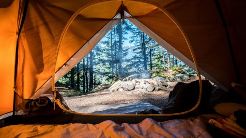 Oplev Esbjerg Camping: En Campingplads for Hele Familien