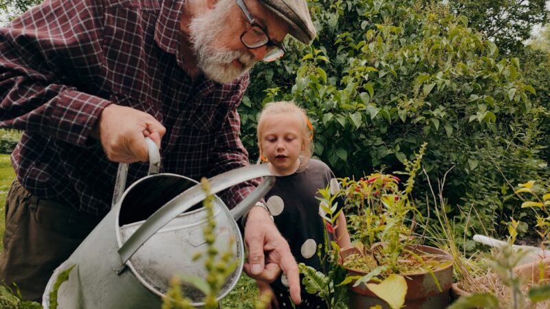 Pawpaw: En Guide til Dyrkning af Asimina triloba ‘Davis’ i Din Have