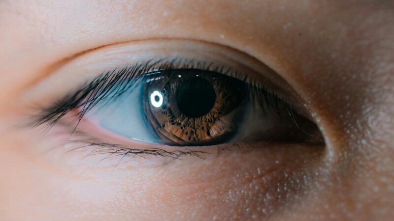 Vigtigheden af en Regelmæssig Synsprøve hos Hadsten Optik