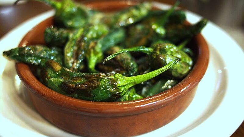 Oplev de Bedste Vejle Tapas i Restaurant Bocado