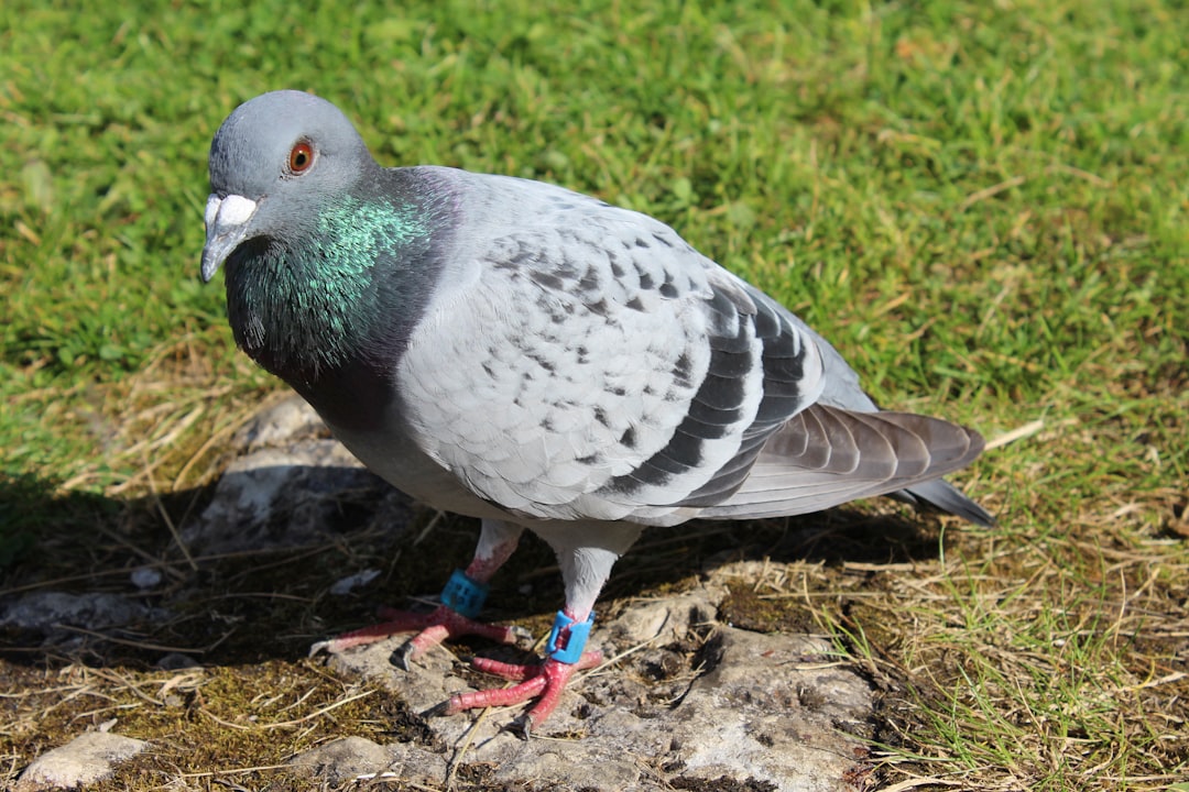 Alt, hvad du behøver at vide om Gel Polish